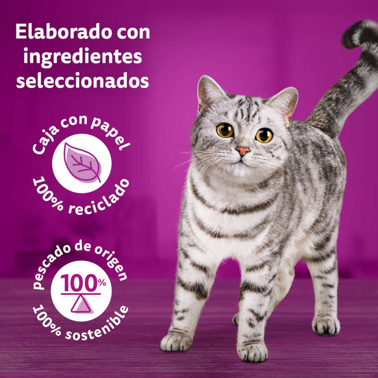 Whiskas Duo Combos de Carne Sobre en gelatina para gatos thumbnail