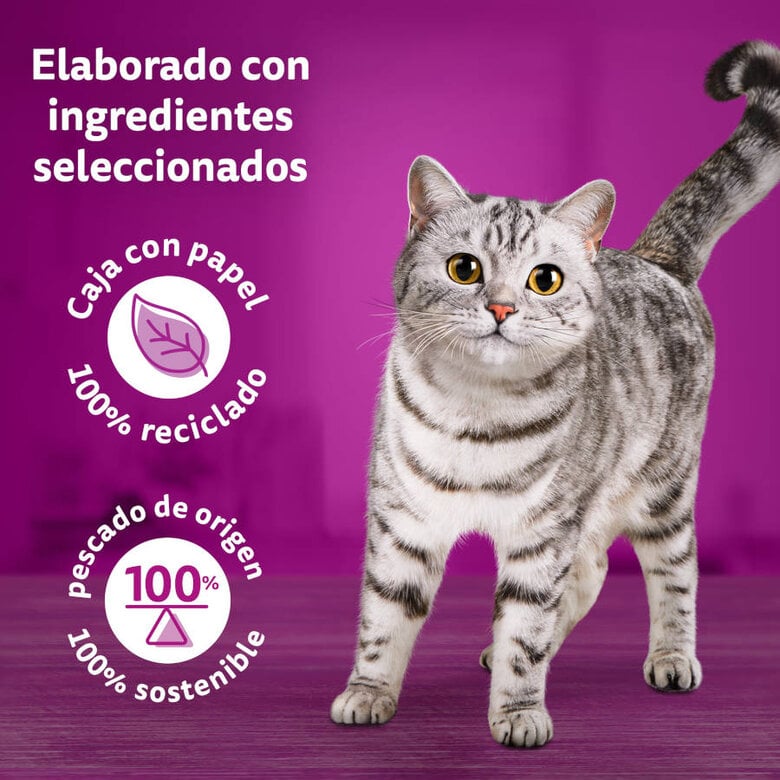 4 sobres x 85 g Whiskas Duo Combos de Carne Sobre en gelatina para gatos,  Imagen numero 4 4 sobres x 85 g Whiskas Duo Combos de Carne Sobre en gelatina para gatos, , large Imagen numero 4