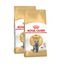 2 x 10 kg Royal Canin Adult British Shorthair pienso para gatos ¡Pack ahorro!, , large indicador imagen numero 1