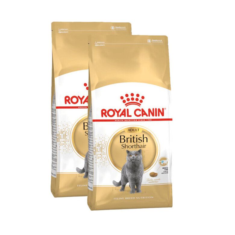 Royal Canin Adult British Shorthair pienso para gatos thumbnail