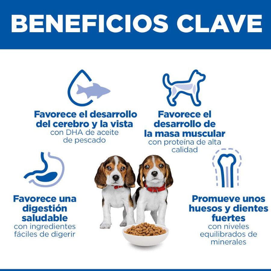 18 kg Hill's Science Plan Puppy Medium pollo pienso para perro, , large Imagen numero 5