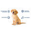 12 kg Nath Puppy Medium Maxi Pollo Pienso para Perros, , large indicador imagen numero 2