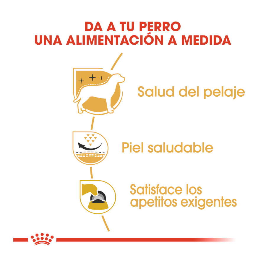 Royal Canin Adult White Terrier West Highland pienso para perros thumbnail