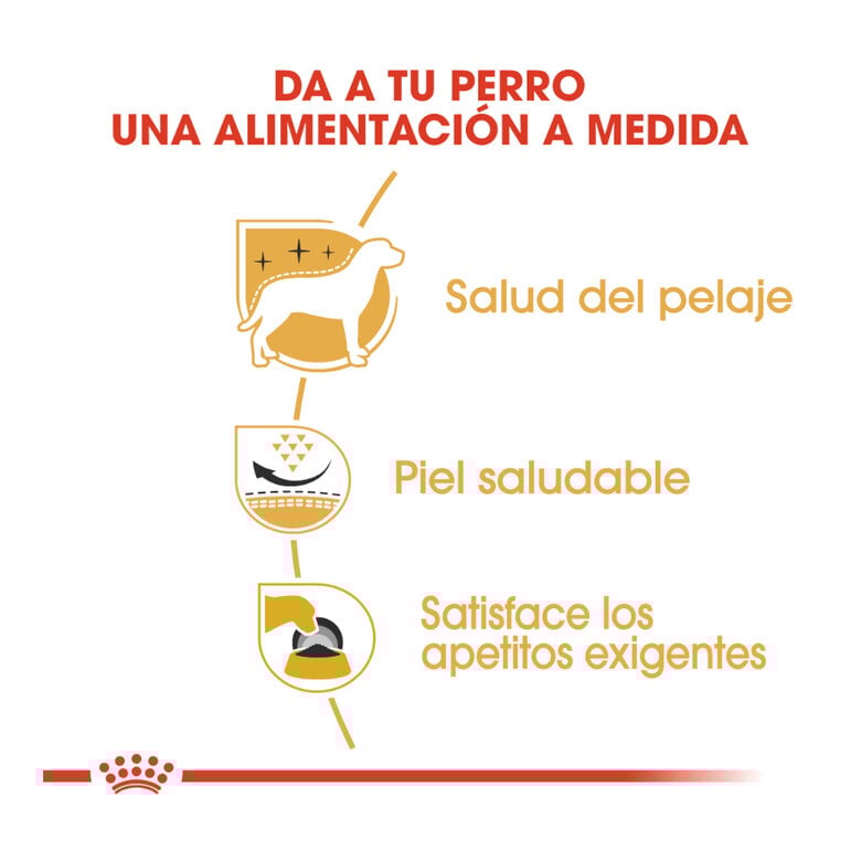 3 kg Royal Canin Adult White Terrier West Highland pienso para perros,  Imagen numero 5 3 kg Royal Canin Adult White Terrier West Highland pienso para perros, , large Imagen numero 5