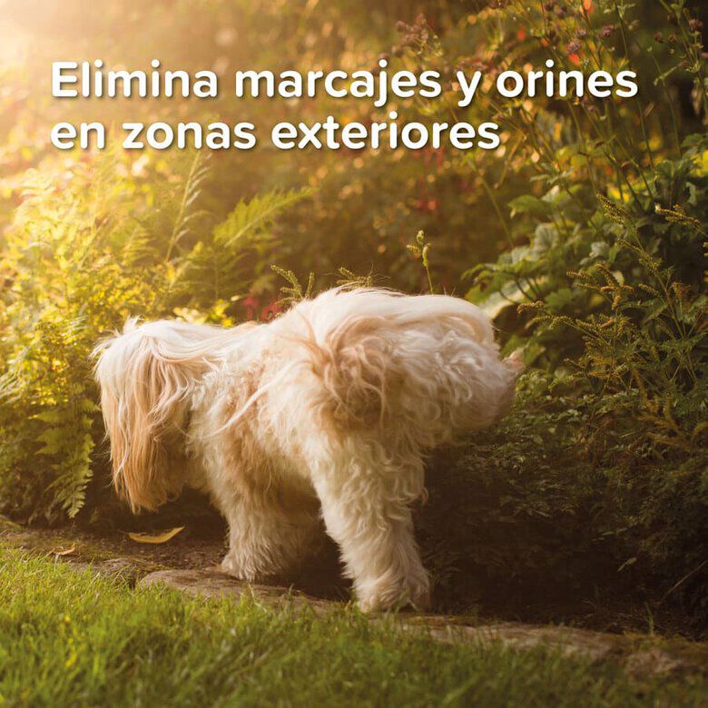 Beaphar Spray Educador para Exterior para perros y gatos thumbnail