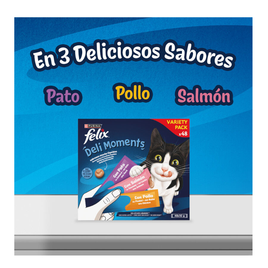 48 sobres x 10 g Felix Deli Moments Snack l&iacute;quido para gatos - Multipack, , large Imagen numero 3