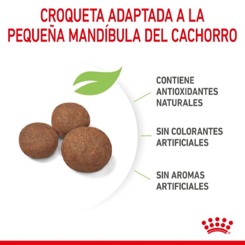 Royal Canin Puppy Medium pienso para perros, , large image number null