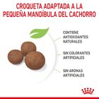 Royal Canin Puppy Medium pienso para perros, , large image number null