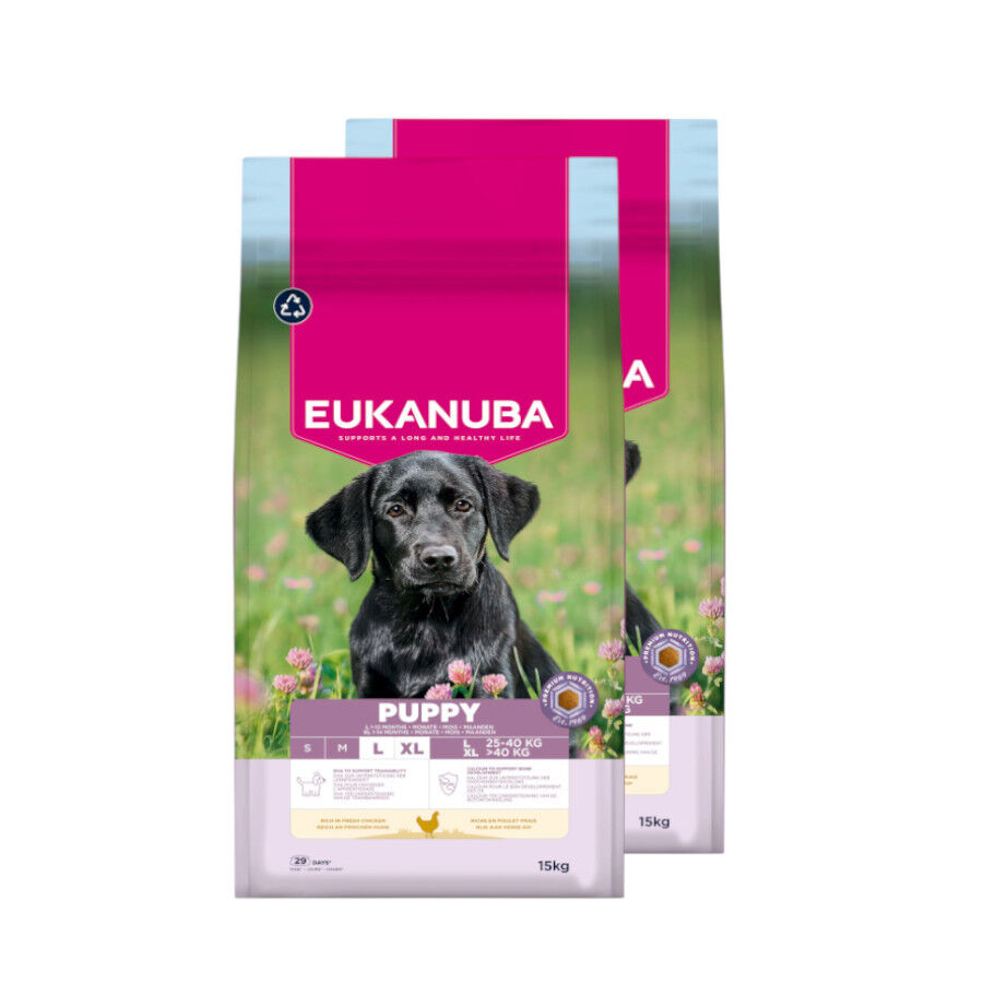 2 x 15 kg Eukanuba Puppy Large Pollo pienso para perros &iexcl;Pack ahorro!, , large Imagen numero 1
