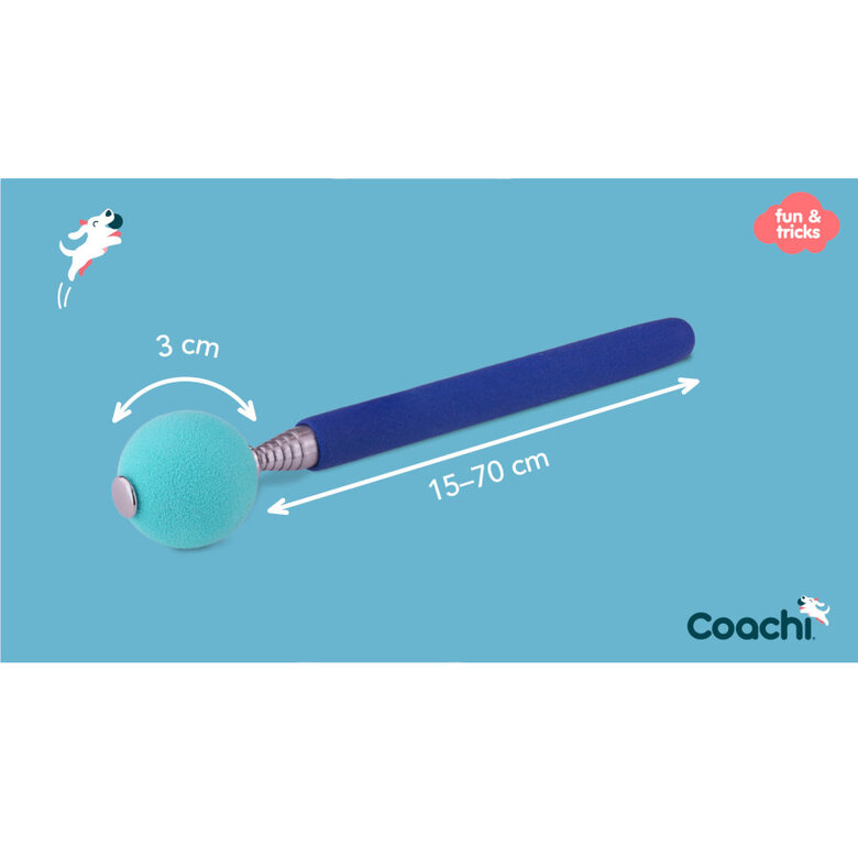Coachi Target Stick juguete de adiestramiento para perros,  Imagen numero 5 Coachi Target Stick juguete de adiestramiento para perros, , large Imagen numero 5