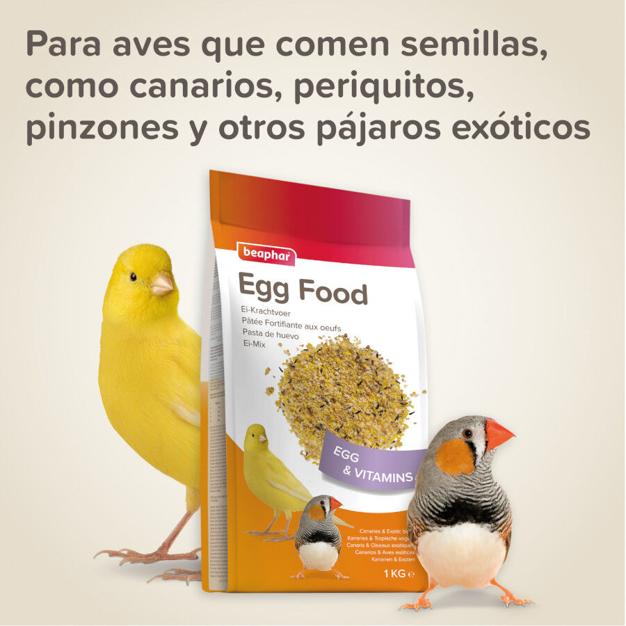 Beaphar Pasta de Huevo para canarios thumbnail