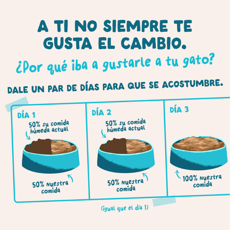 85 g Edgard & Cooper At&uacute;n y Pollo sobre en salsa para gatos, , large Imagen numero 9