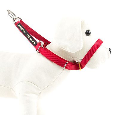 Canny Collar de Adiestramiento Rojo para perros 