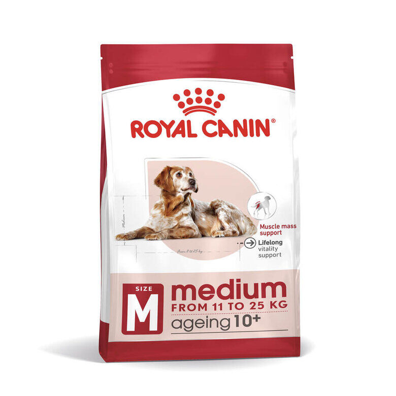 15 kg Royal Canin Medium 10+ Ageing pienso para perros, , large Imagen numero 5