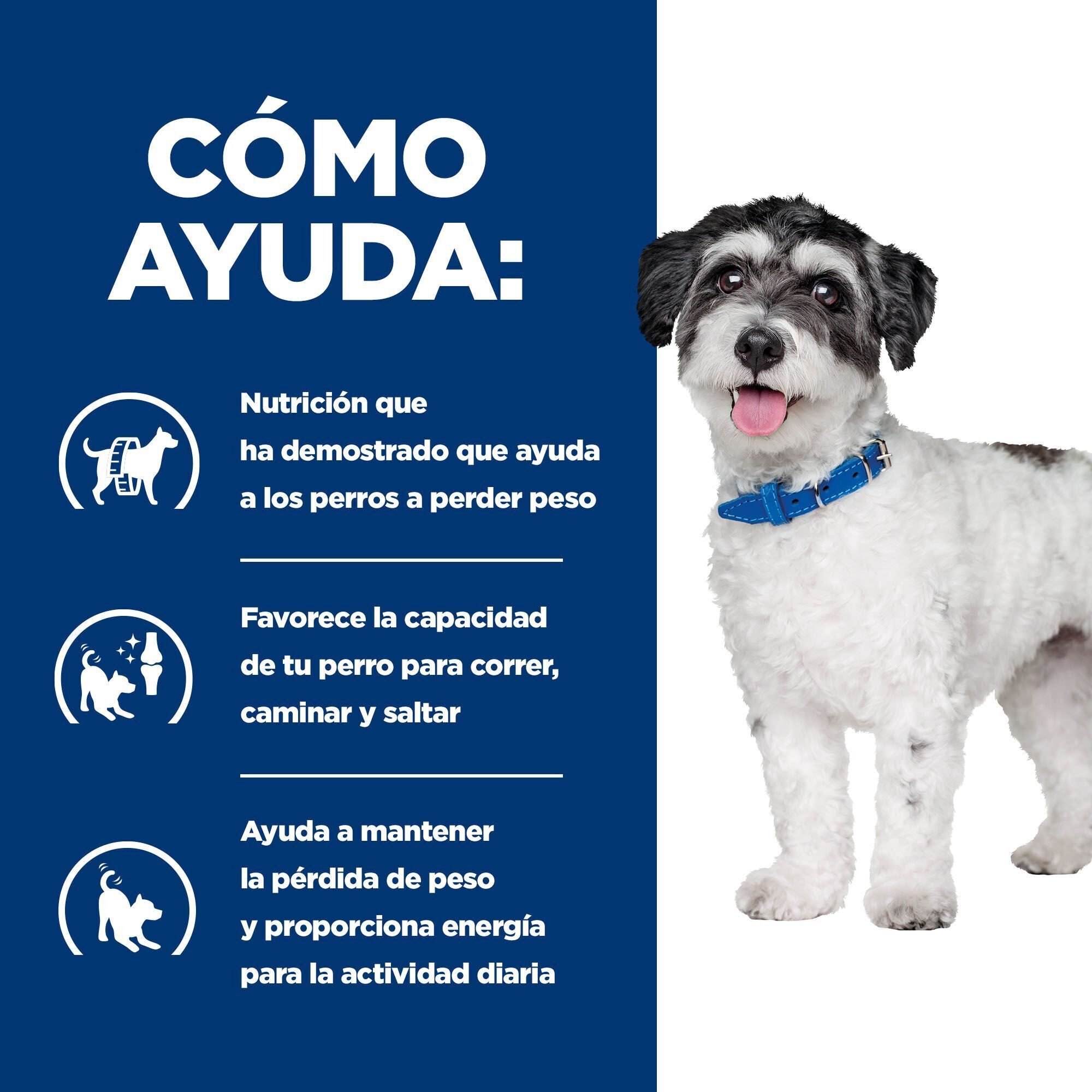 Hill&#039;s Prescription Diet Metabolic + Mobility Mini j/d pienso para perros thumbnail