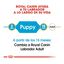 12 kg Royal Canin Puppy Labrador Retriever pienso para perros, , large indicador imagen numero 8