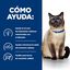 156 g Hill's Prescription Diet Food Sensitives lata z/d para gatos, , large indicador imagen numero 4