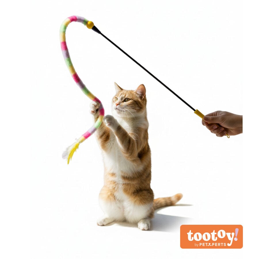 Tootoy! Caña Interactiva Colorida para gatos thumbnail