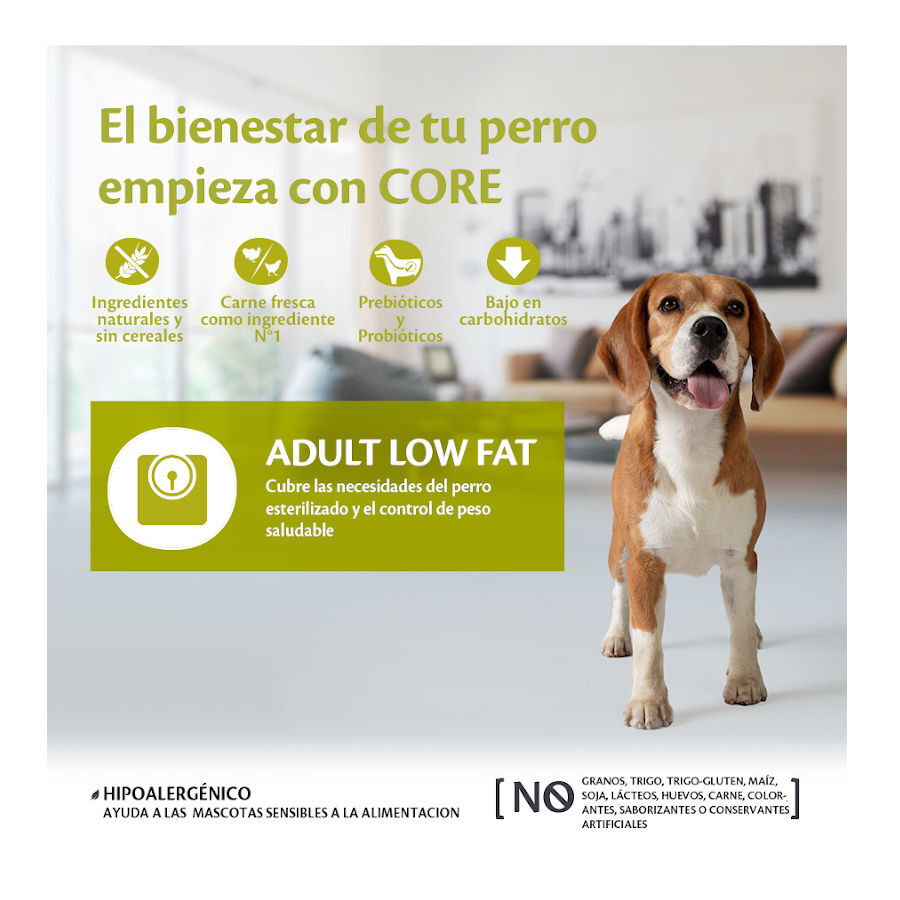 Wellness Core Adult Medium/Large Healthy Pavo Low Fat pienso para perros thumbnail