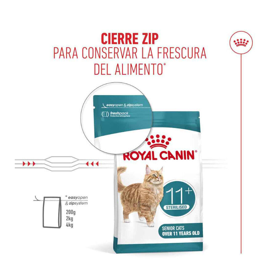 Royal Canin Ageing 11+ Sterilised pienso para gatos thumbnail