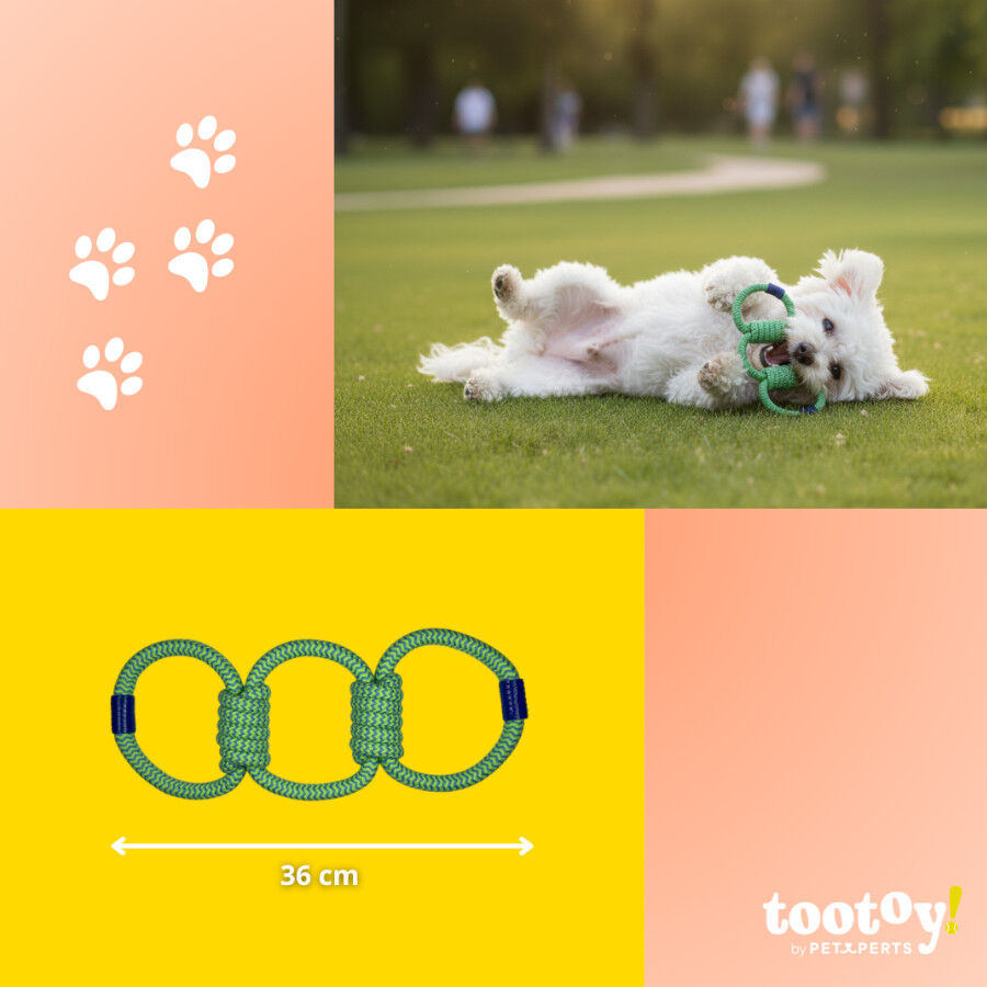 Tootoy! Mordedor de Cuerda Triple para perros thumbnail
