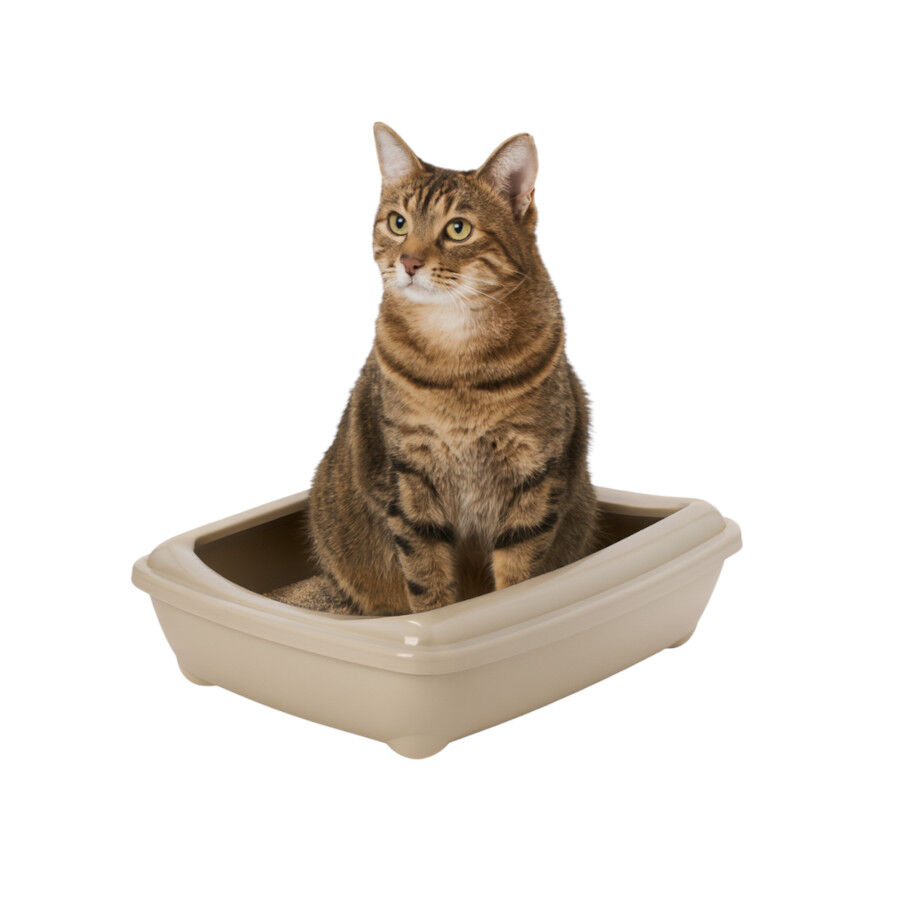 Nice Care Bandeja Sanitaria Beige para gatos