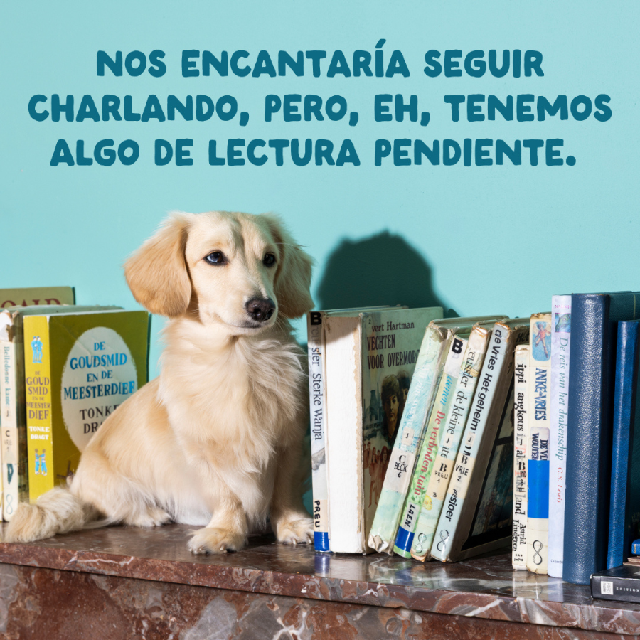8 x 150 g Edgard & Cooper Adult Grain Free Sobres para perros - Multipack, , large Imagen numero 9