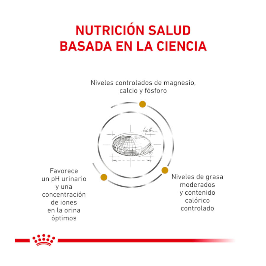 Royal Canin Veterinary Urinary Moderate Calorie sobres para gatos thumbnail