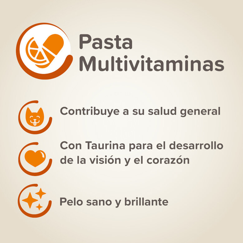 100 g Beaphar Multivitamínico en Pasta para gatos,  Imagen numero 4 100 g Beaphar Multivitamínico en Pasta para gatos, , large Imagen numero 4