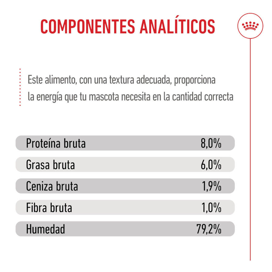 Royal Canin Mini Puppy sobre en salsa thumbnail