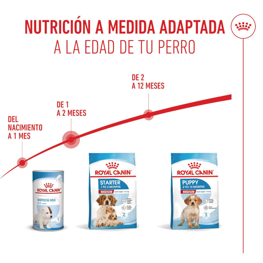 Royal Canin Medium Starter Mother&amp;Baby pienso para perros thumbnail
