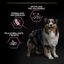 16.5 kg (14 + 2.5 kg ¡gratis!) Pro Plan Adult Medium Sensitive Skin Salmón pienso para perros, , large indicador imagen numero 3