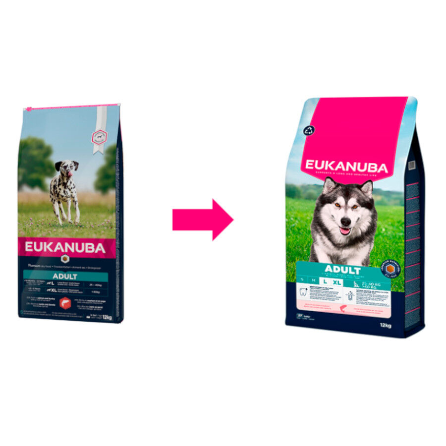 Eukanuba Adult Salmón pienso para perros
