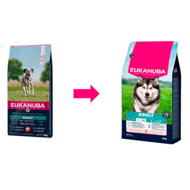 Eukanuba Adult Salmón pienso para perros