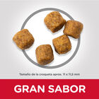 Hill's Adult cordero y arroz image number null