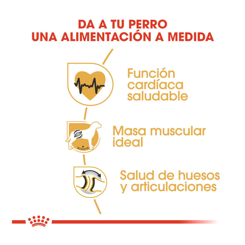 Royal Canin Adult Rottweiler pienso para perros thumbnail