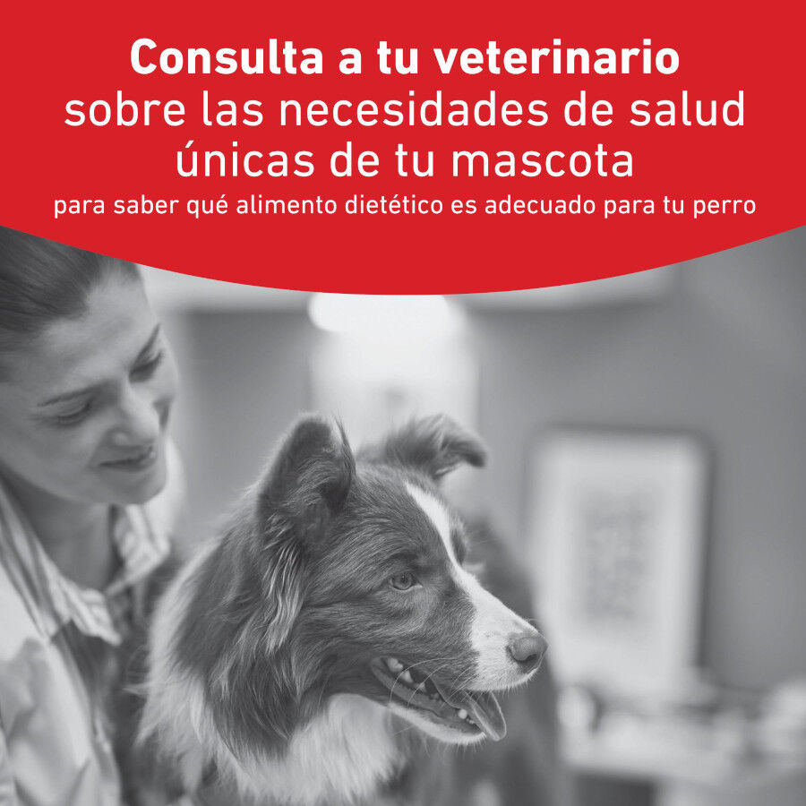 1.5 kg Royal Canin Veterinary Diabetic pienso para perros, , large Imagen numero 2