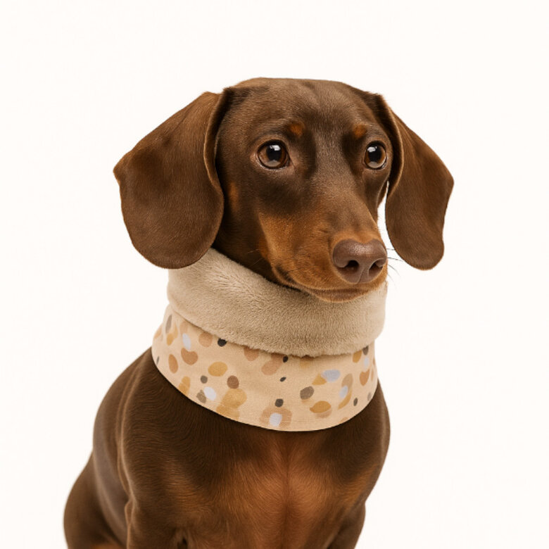 Outech Bufanda Leopardo para perros,  Imagen numero 3 Outech Bufanda Leopardo para perros, , large Imagen numero 3