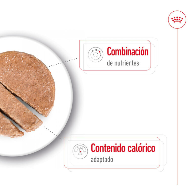 195 g Royal Canin Mini 8+ Ageing lata para perros,  Imagen numero 3 195 g Royal Canin Mini 8+ Ageing lata para perros, , large Imagen numero 3