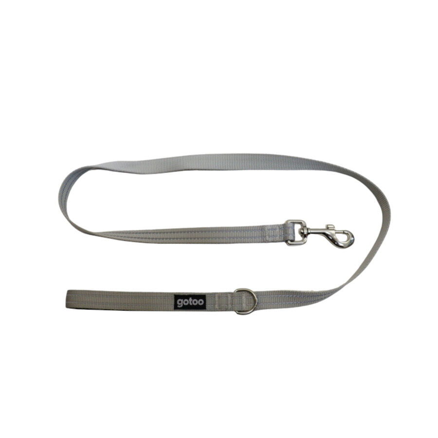 Gotoo Correa de nylon reflectante gris para perros