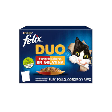 Felix Fantastic Duo Carne en Gelatina sobre para gatos