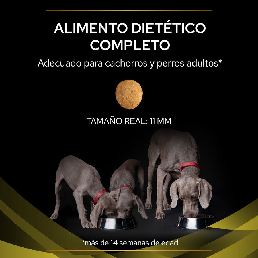 Pro Plan Veterinary Diets Hepatic pienso para perros thumbnail