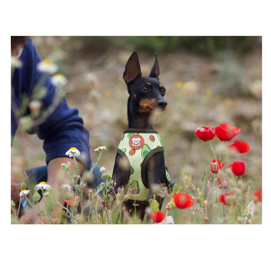 Dukier Avocado Arnés Reversible Estampado Aguacate para perros thumbnail