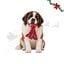 Wonder Christmas Pulpo XL Peluche para perros, , large indicador imagen numero 1