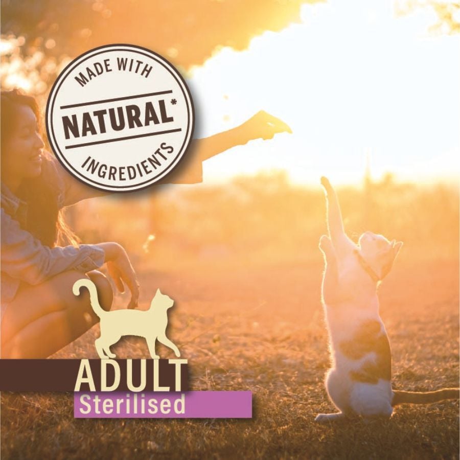 True Origins Pure Adult Sterilised Grain Free Pavo pienso para gatos thumbnail