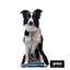 Gotoo collar de malla transpirable turquesa para perros, , large indicador imagen numero 6