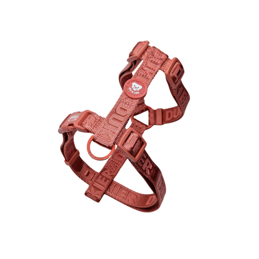 Dukier Arn&eacute;s Cl&aacute;sico Color Terracota para perros, , large Imagen numero 1