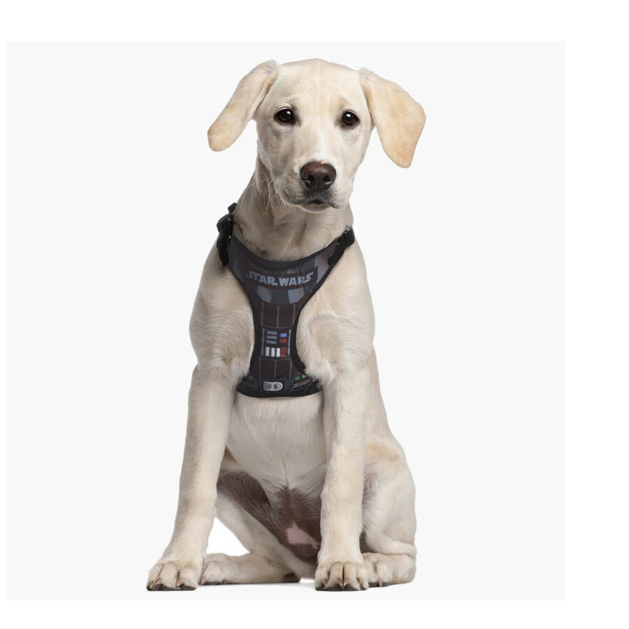 Disney Star Wars Arn&eacute;s Estampado para perros, , large Imagen numero 3