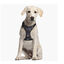 Disney Arnés Estampado Star Wars para perros, , large indicador imagen numero 3