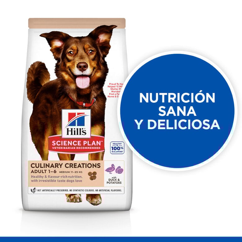 2.5 kg Hill's Science Plan Culinary Creations Pato y Patata pienso para perros medianos,  Imagen numero 5 2.5 kg Hill's Science Plan Culinary Creations Pato y Patata pienso para perros medianos, , large Imagen numero 5